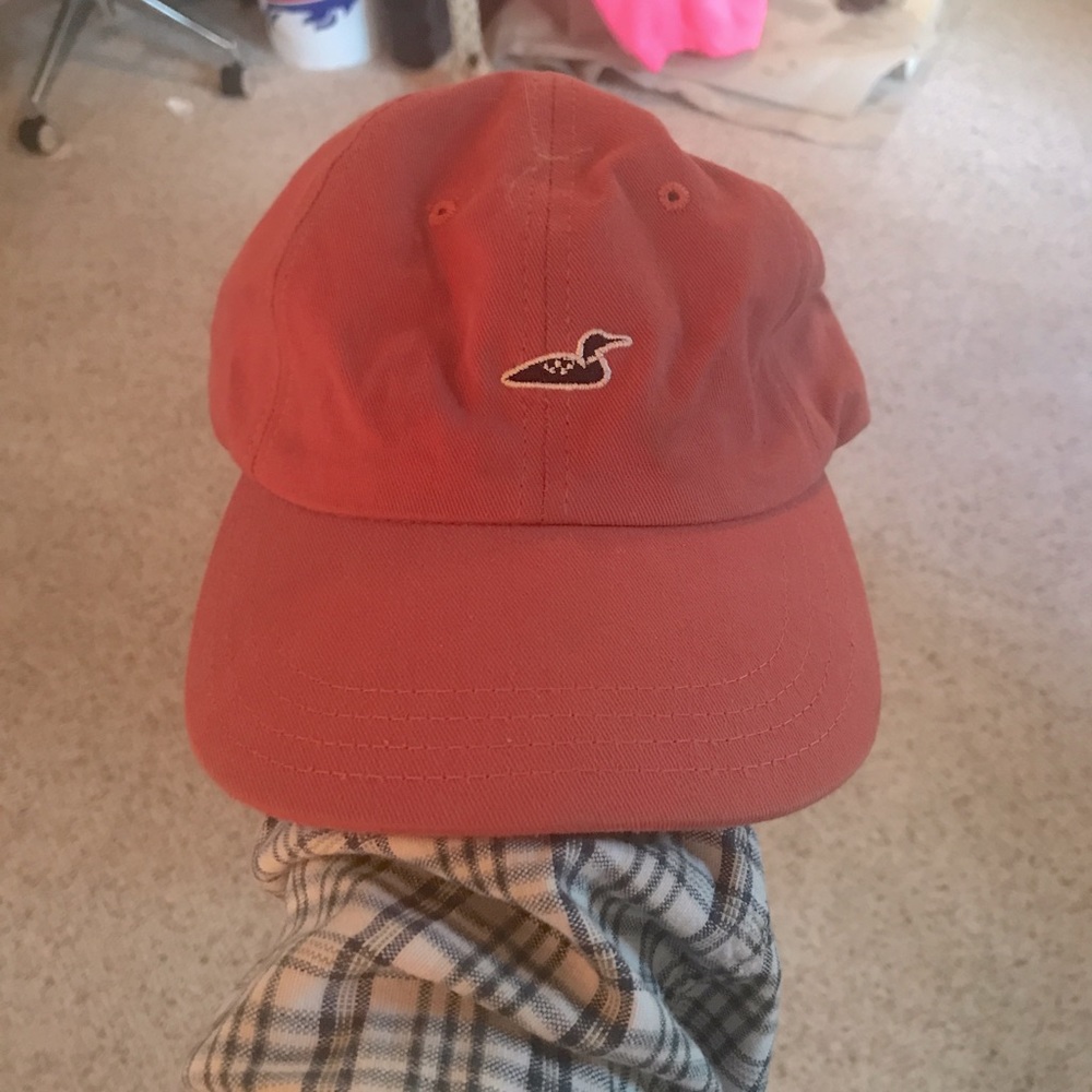 Loon hat Great Lakes clothing co
